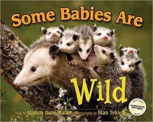 Fun Nonfiction Books for Kids