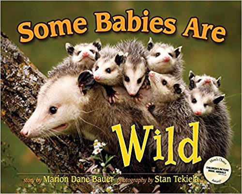 Fun Nonfiction Books for Kids