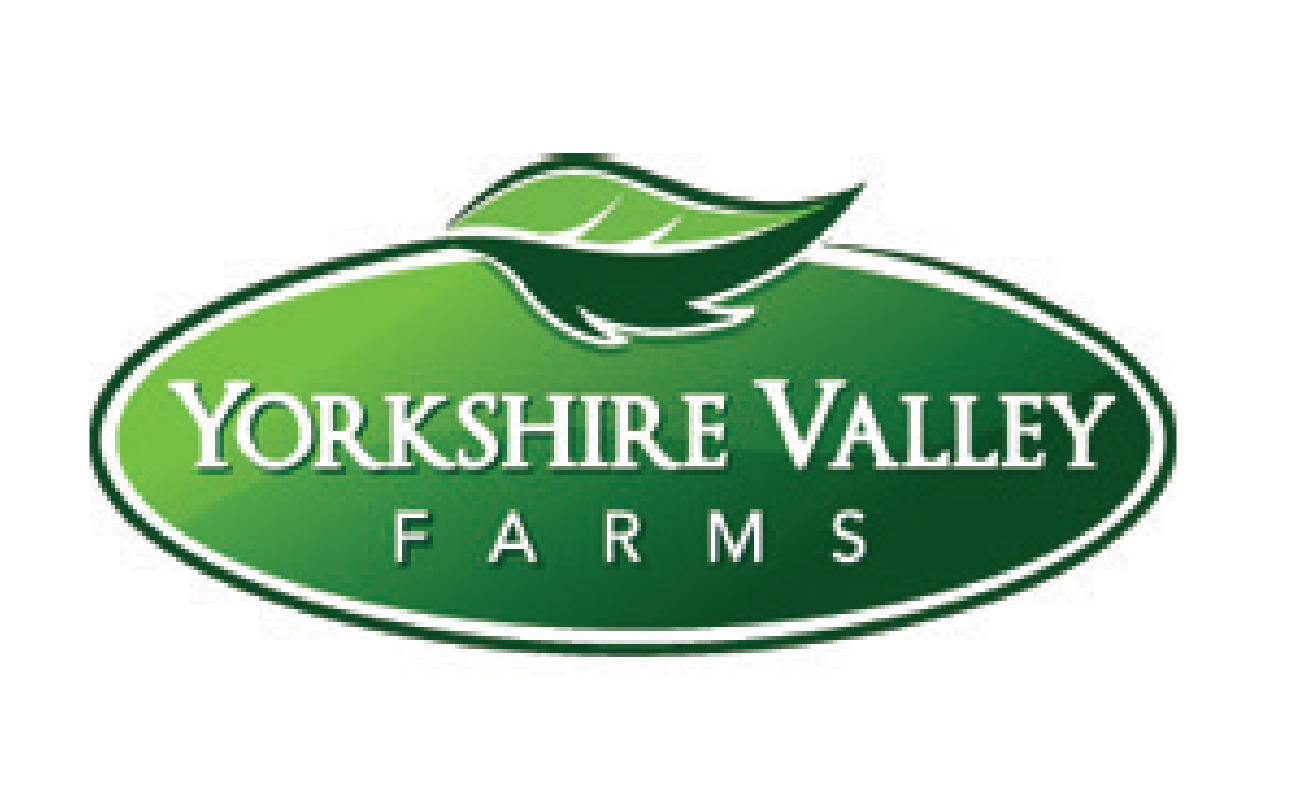 Yorkshire Valley