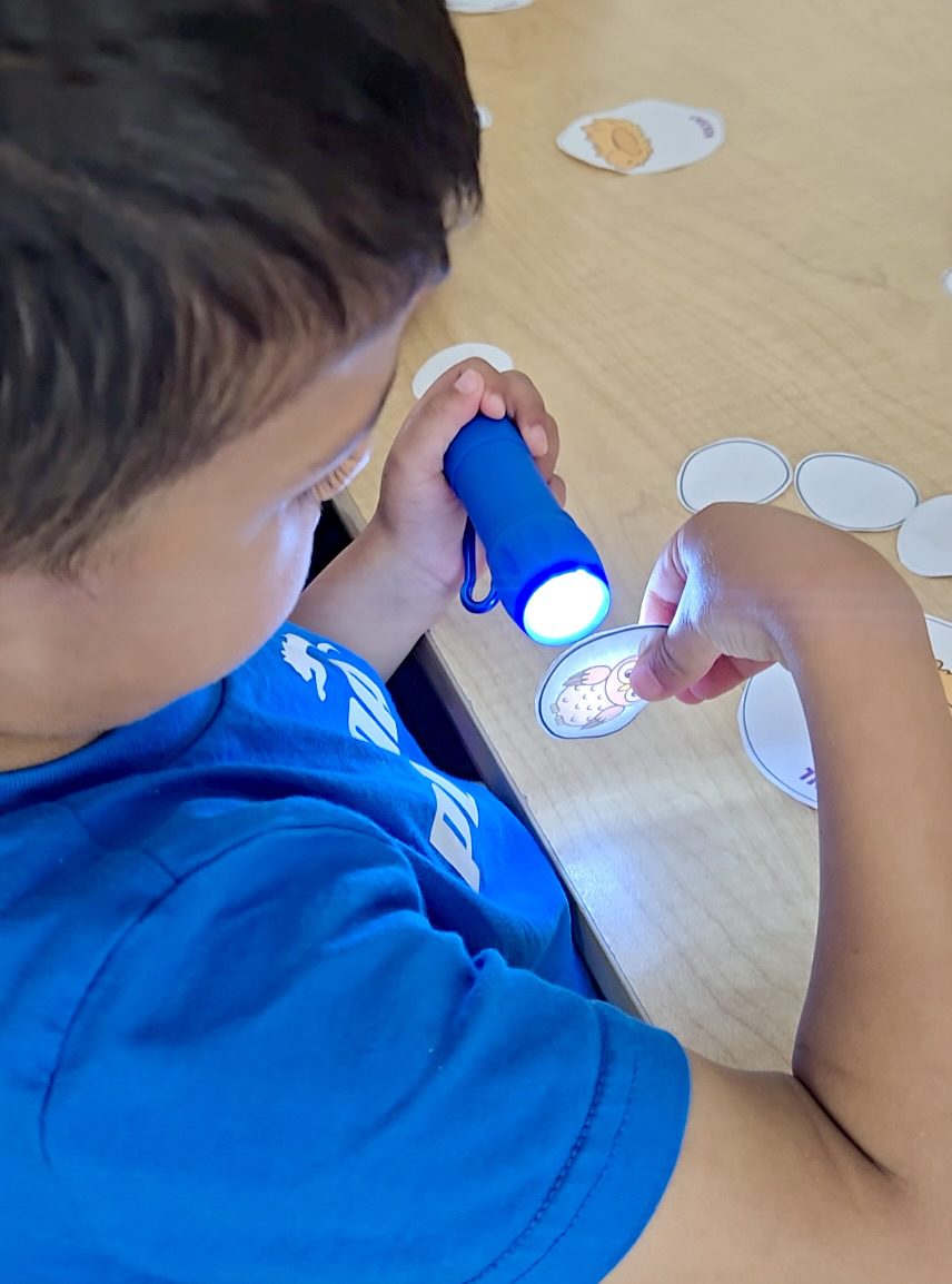 Child engaging in a egg sort activity. shining a flashlight thought a paper egg to reveal an owl inside