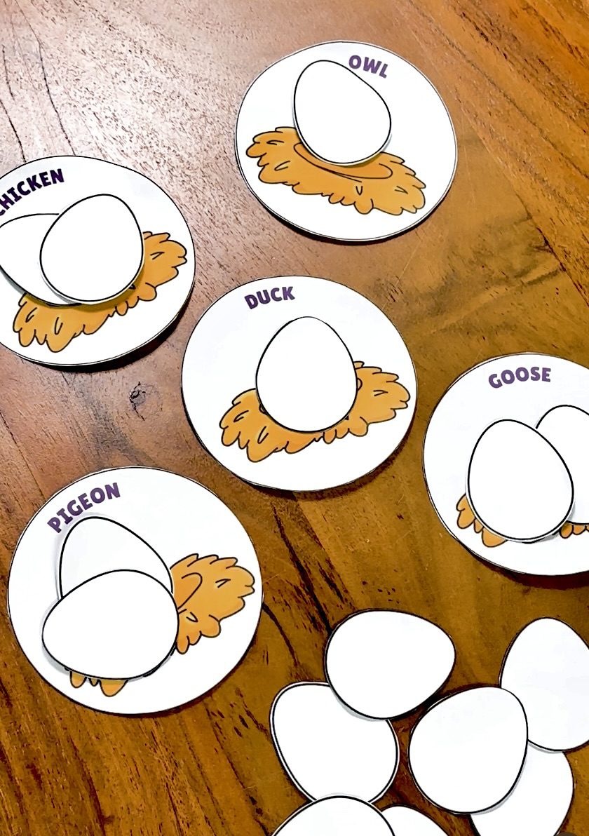 Egg sorted into different nests